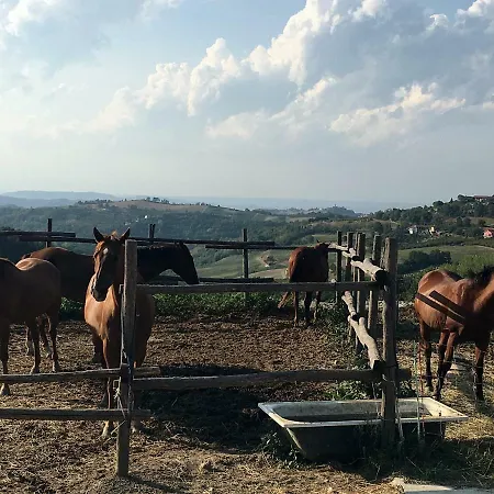 Casa vacanze Maison Demetrio - Family Farm *